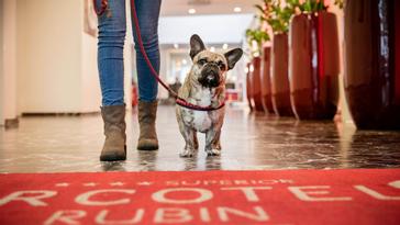 ARCOTEL Rubin Hamburg | Hamburg  | Gallery 3