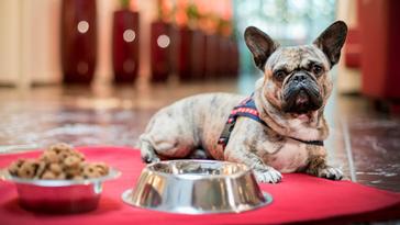 ARCOTEL Rubin Hamburg | Hamburg  | Gallery 16